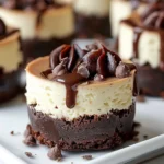 Brownie Bottom Mini Cheesecakes