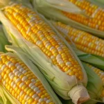 Creamy Honey Butter Skillet Corn is Irresistibly Delicious!